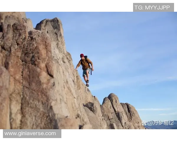 对话赵强:回顾排球生涯中的挑战与成就分享