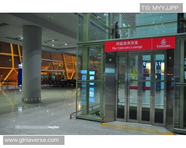 足球明星乘坐公务机的奢华之旅揭秘与背后的故事分析